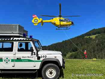 NÖ: Kuh attackierte Frau in Türnitzer Alpen - VIENNA.AT - Alles über Wien