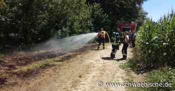 Hitze und Trockenheit: Drei Flächenbrände im Kreis Ravensburg - Schwäbische