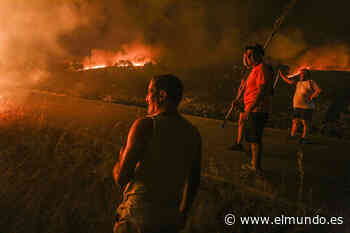 El día después del fuego que arrasó Zamora: "El incendio se ha acabado porque ya no queda nada por - El Mundo