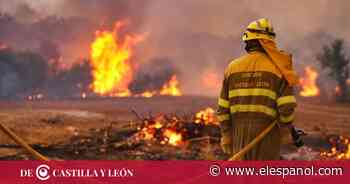 Dos incendios de la provincia de Zamora bajan a nivel 1 - EL ESPAÑOL