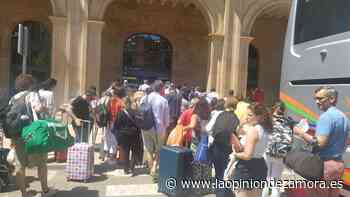 DIRECTO | Última hora del incendio en Zamora originado en Losacio - La Opinión de Zamora