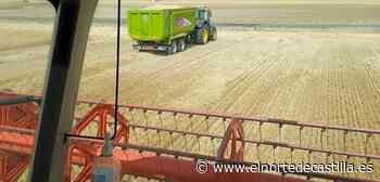 Zamora opta por repetir el precio de todos los cereales - El Norte de Castilla