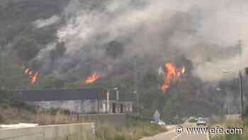 El incendio de Zamora mejora y vuelven a casa 20 de los 34 pueblos evacuados - Agencia EFE
