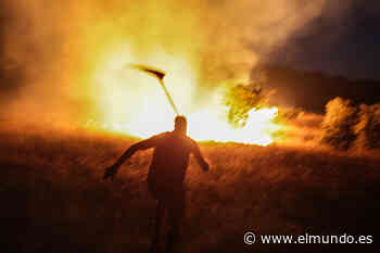 Una patrulla vecinal contra el incendio de Zamora: "¡Este fuego lo apagamos nosotros!" - El Mundo