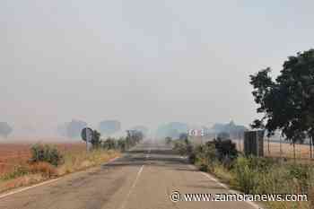 Continúan activos cuatro incendios en Zamora: conoce todos los detalles aquí - Zamora News