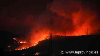 Los héroes del incendio de Gran Canaria combaten el fuego en Zamora - La Provincia - Diario de Las Palmas