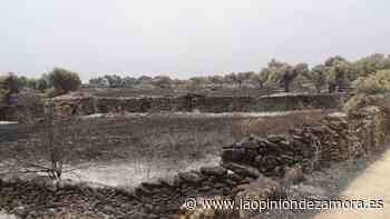 Aliste y Sayago reviven la pesadilla del fuego: “esto es la puntilla” - La Opinión de Zamora