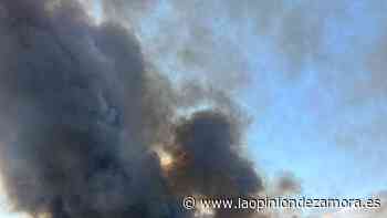 Tres nuevos incendios en plena ola de calor en Zamora - La Opinión de Zamora