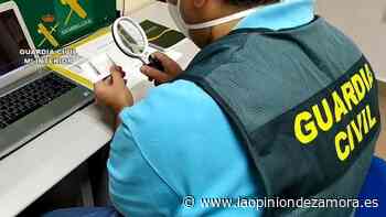 Estafa en Zamora por la venta de permisos de conducir falsos - La Opinión de Zamora