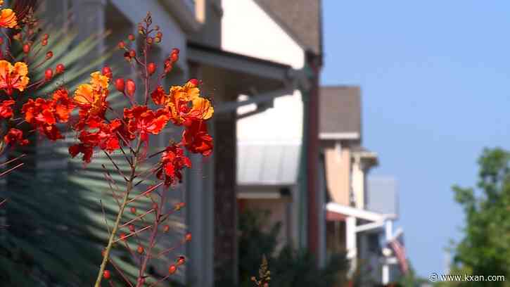 Growing affordability gap? Austin's selling more million-dollar homes now than before the pandemic