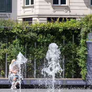Millionen für Stadtentwicklung gegen Hitze und Extremwetter - Radio Bonn / Rhein-Sieg - radiobonn.de