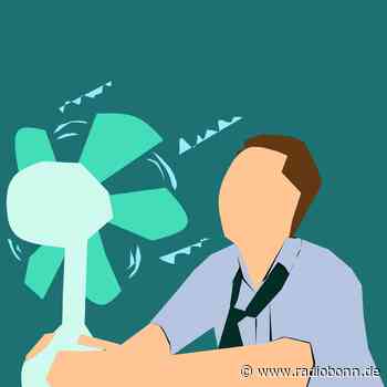 Bonn, der Rhein-Sieg-Kreis und die Hitzewelle - radiobonn.de