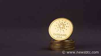 Cardano’s Ecosystem Explodes, Why ADA Could Be Quick To Resume Bullish Trend - NewsBTC