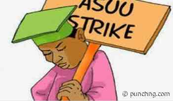 ASUU: Aviation unions warn FG, join solidarity strike - Punch Newspapers