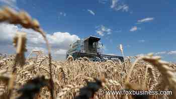 Turkey, Russia reach framework on shipping Ukrainian wheat this month: Exclusive - Fox Business