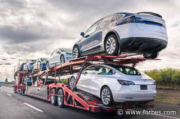 Best Car Shipping Companies In Florida 2022 – Forbes Advisor - Forbes