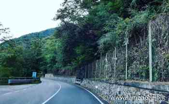 Sicurezza e manutenzione sulla SS394: i sindaci di Luino, Maccagno e Tronzano scrivono al Prefetto - Luino Notizie