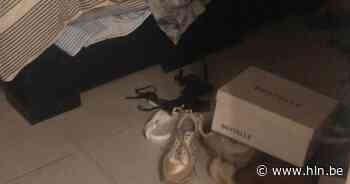 Inbraak in appartement in Wervik tijdens weekendje aan zee - Het Laatste Nieuws