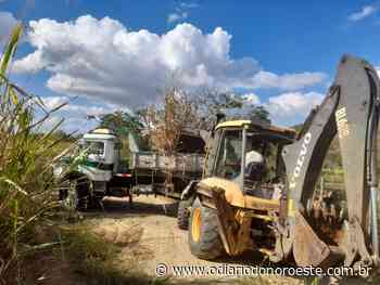 Secretaria de Agricultura de Itaperuna envia equipes de trabalho para a Aguinha - O Diário do Noroeste