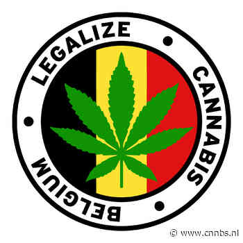 Burgemeester Brussel wil legale wiet en Nationaal Drugsdebat - CNNBS.nl - CNNBS