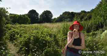 Burgercollectief 'Save Donderberg': “Natuurgebied moet behouden blijven” | Brussel | hln.be - Het Laatste Nieuws