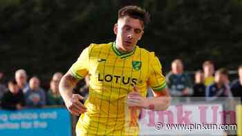 Norwich City: Chris Sutton column on Jordan Hugill - PinkUn