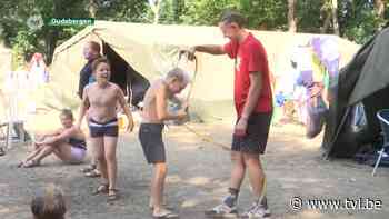 Kampplaatsen kreunen onder de hitte, verkoeling opzoeken is de boodschap - TV Limburg