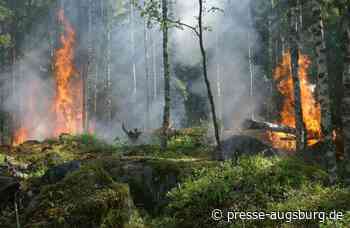 Bayerns Innen- und Katastrophenschutzminister warnt vor hoher Waldbrandgefahr | Presse Augsburg - Presse Augsburg