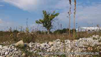Augsburg: Die Stadt will "Ranger" für Naturschutzgebiete einsetzen | Augsburger Allgemeine - Augsburger Allgemeine