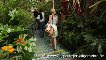 Augsburg: Stadtgarten am Königsplatz folgt auf Dschungel - Augsburger Allgemeine