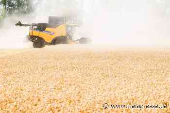 Bauernverband: Schäden durch Trockenheit bei Weizenernte - freiepresse.de