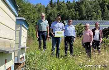 Jetzt blüht der Wirtschaft was - Regen - Passauer Neue Presse - PNP.de
