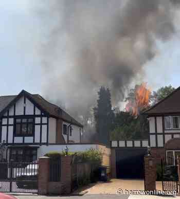 A ‘range of gardens’ destroyed by fire in Hatch End - Harrow Online