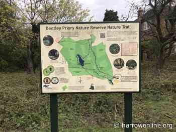 Things to do with children in Harrow this Summer - Harrow Online