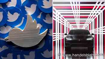 Twitter gegen Elon Musk: Warum der Prozess um die Twitter-Übernahme auch eine Gefahr für die Tesla-Aktie ist