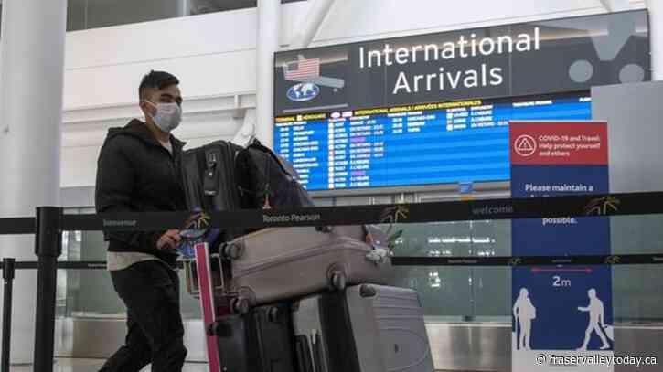 Questions raised about value of random COVID-19 tests for travellers