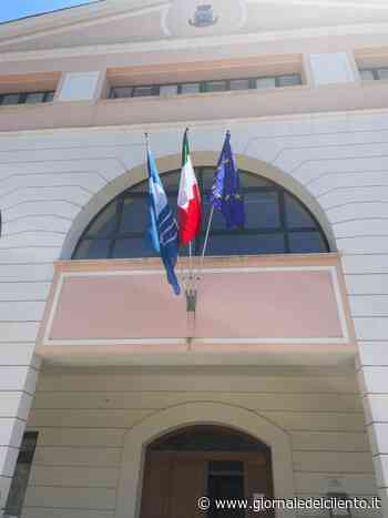 Agropoli, rimossi alberi non in salute e pericolose. Saranno reintegrati con nuove piante - Giornale del Cilento