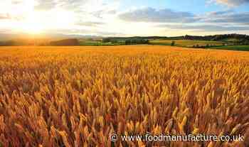 Warning issued over food fraud with new suppliers