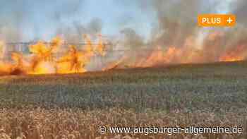 Bei den Landwirten geht nach dem Feuer im Getreidefeld die Angst um