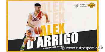 BEA Chieri, Alex D’Arrigo giocherà ancora con la maglia arancio-nera - Tuttosport