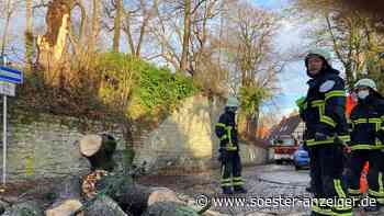Sturm im Kreis Soest: Feuerwehren im Unwetter-Dauereinsatz - Straßen gesperrt - soester-anzeiger.de