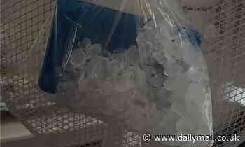 TikTok users are urged not to attach bags of ice to their fans