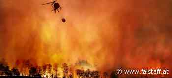 Bordeaux: Feuer außer Kontrolle