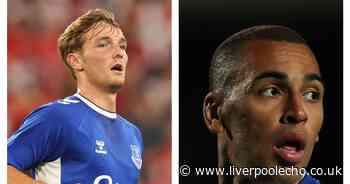 EXCLUSIVE: James Vaughan explains Everton hope for Lewis Warrington after transfer reality - Liverpool Echo