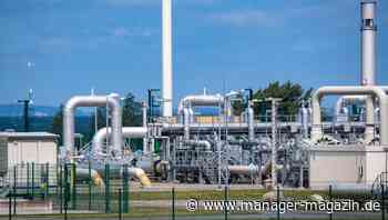 Gas-Notfallplan: Verbindliche Einsparziele für Gas und Konsequenzen für Verbraucher