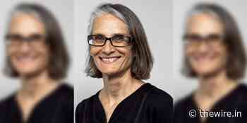 British Architecture Professor Denied Entry Into India, Second Scholar to Be Deported in 2022 - The Wire