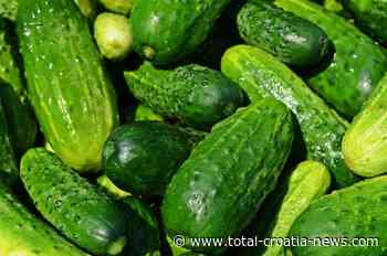 Croatian Entrepreneur Mate Rimac Invests in Gruntek - Total Croatia News