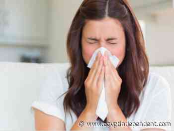 As Egypt faces sixth wave of coronavirus, here's how you can tell it apart from the common cold - Egypt Independent
