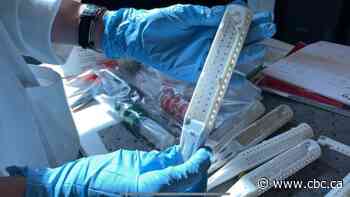 Ottawa's coronavirus wastewater nears record levels - CBC.ca