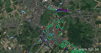 Waar wil jij een nieuwe boom in Liedekerke? Map a Tree geeft inwoners de kans makkelijk suggesties te doen - Het Laatste Nieuws